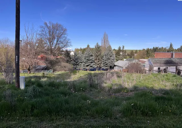 Homes for sale in Uniontown, WA | 111 S High St, Uniontown, WA 99179 | MLS# 290275