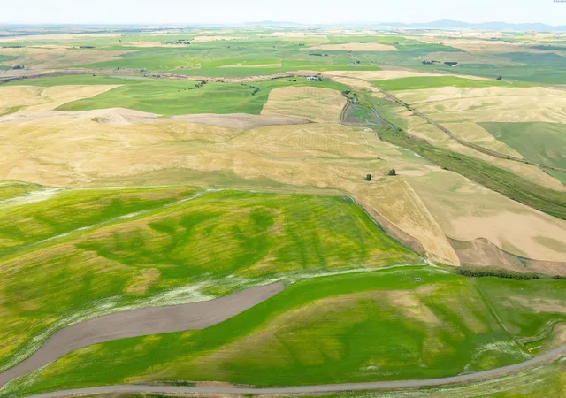 12th image of Tbd Bongarts Rd, Oakesdale, WA 99158 | MLS# 290759