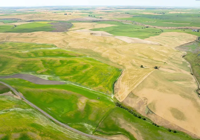 1st image of Tbd Bongarts Rd, Oakesdale, WA 99158 | MLS# 290759