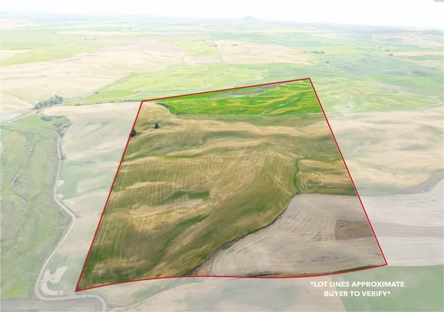 3rd image of Tbd Bongarts Rd, Oakesdale, WA 99158 | MLS# 290759