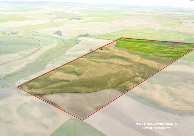 4th image of Tbd Bongarts Rd, Oakesdale, WA 99158 | MLS# 290759