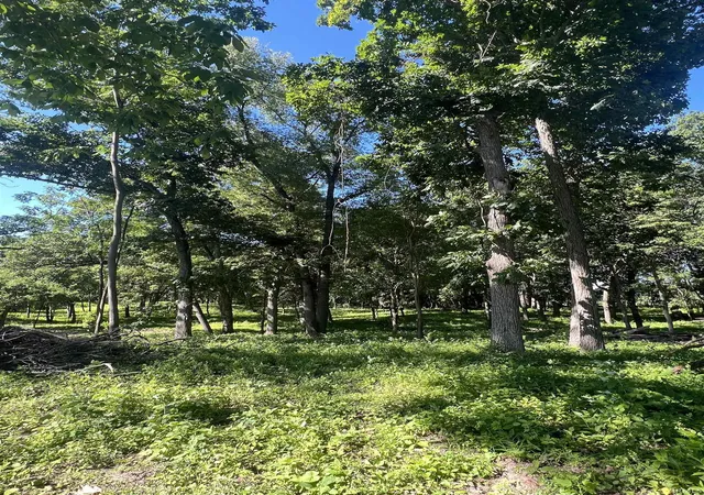 Photo 1 of Land for sale at 25226 Adams Rd, South Bend, IN 46628 | MLS# 202225963 | Listing updated on 2026-03-13