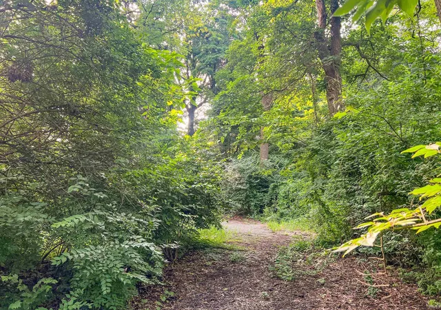 2nd image of 53287 Ironwood Rd, South Bend, IN 46635 | MLS# 202227992