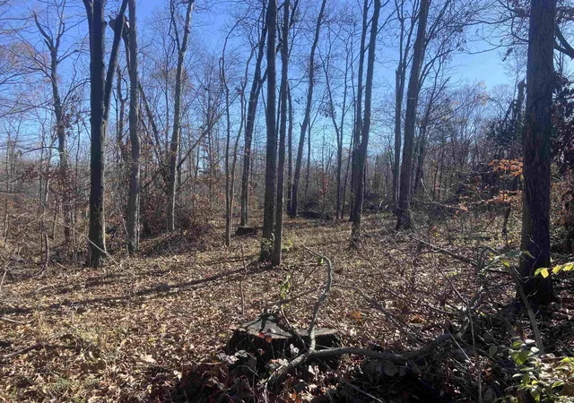10th image of Tract 1 State Line Rd, West Terre Haute, IN 47885 | MLS# 202444910