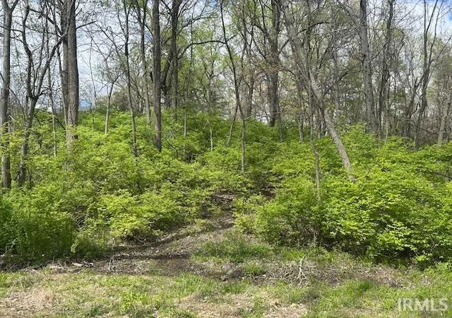 Photo 3 of Land for sale at 9205 Whetstone Rd, Evansville, IN 47725 | MLS# 202512904 | Listing updated on 2025-10-31