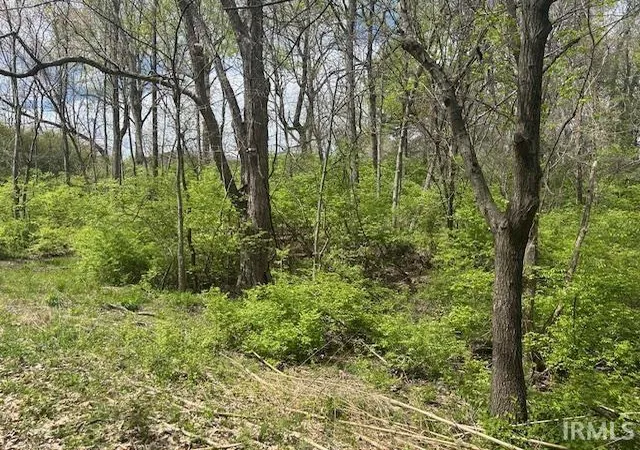 Photo 4 of Land for sale at 9205 Whetstone Rd, Evansville, IN 47725 | MLS# 202512904 | Listing updated on 2025-10-31