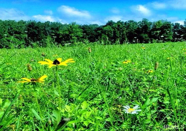Photo 1 of Land for sale at 1702 W Ezekiel Dr, Bloomington, IN 47403 | MLS# 202525069 | Listing updated on 2026-02-17