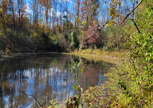 3rd image of Tbd S Snow Rd, Bloomington, IN 47403 | MLS# 202535742