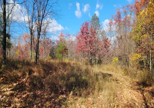 5th image of Tbd S Snow Rd, Bloomington, IN 47403 | MLS# 202535742
