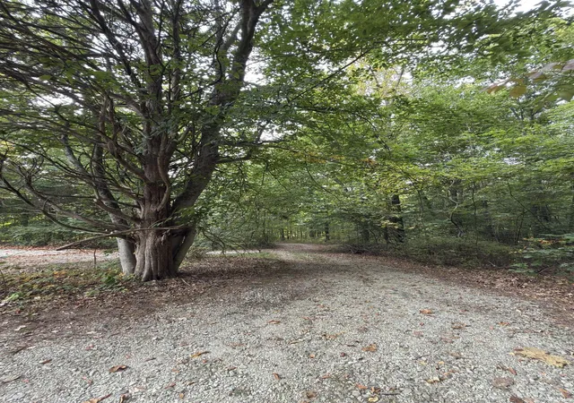 32nd image of 6311 W Tarkington Ln, Bloomington, IN 47403 | MLS# 202538233
