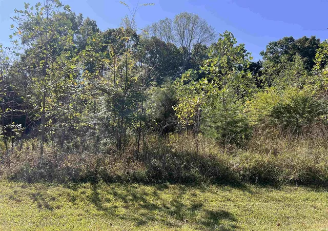 Photo 3 of Land for sale at Lakeview Dr, Celestine, IN 47521 | MLS# 202539547 | Listing updated on 2026-05-13