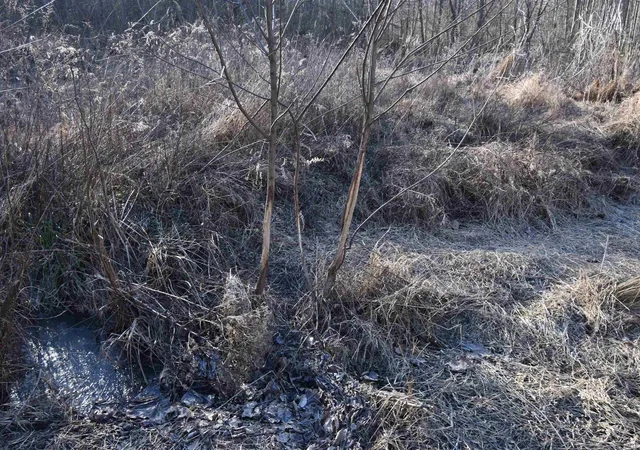 Photo 2 of Sale Pending at 0 S Harts Gravel Rd, Birdseye, IN 47513 | MLS# 202603010 | Listing updated on 2026-04-27