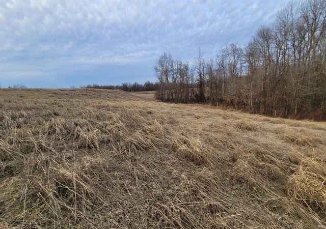Photo 5 of Land for sale at 0 Denzer Rd, Evansville, IN 47712 | MLS# 202603606 | Listing updated on 2026-06-30