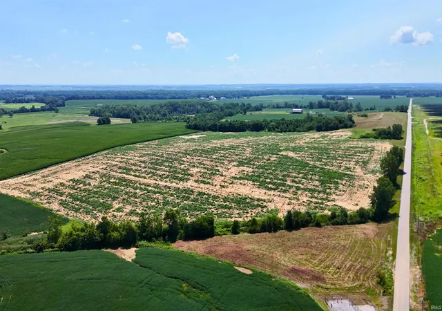Photo 4 of Land for sale at 42+/- N Acres Wampler Rd, Bicknell, IN 47512 | MLS# 202603810 | Listing updated on 2026-07-21