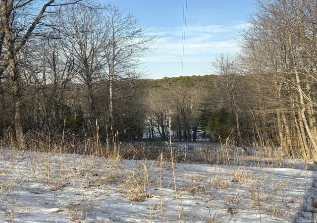 3rd image of 0 Coal Bank Rd, Saint Meinrad, IN 47577 | MLS# 202603991