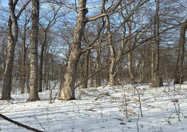 5th image of 0 Coal Bank Rd, Saint Meinrad, IN 47577 | MLS# 202603991