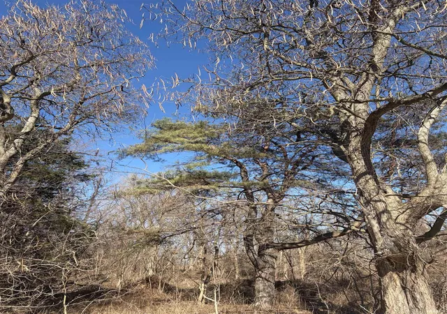 Photo 1 of Land for sale at 826 Emily St, Michigan City, IN 46360 | MLS# 202605863 | Listing updated on 2026-04-15