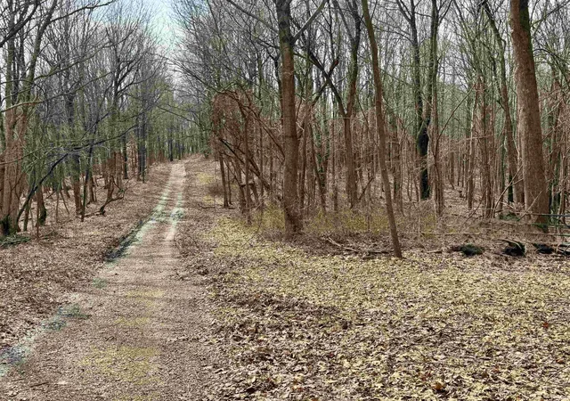 3rd image of Off New Cut Rd, Tobinsport, IN 47520 | MLS# 202607200