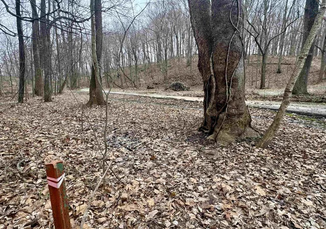 36th image of Off Sr 66, Grandview, IN 47615 | MLS# 202608301