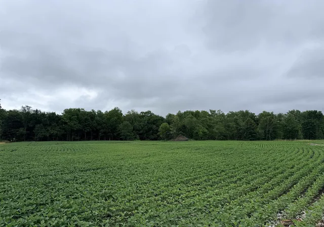 Homes for sale in Linton, IN | 00 S Co Road 1150 W, Linton, IN 47441 | MLS# 202610591