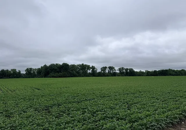 Homes for sale in Linton, IN | 00 S Co Road 1150 W, Linton, IN 47441 | MLS# 202610591
