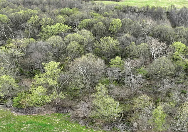 Photo 3 of Land for sale at State Rd 164, Jasper, IN 47546 | MLS# 202611332 | Listing updated on 2026-08-20