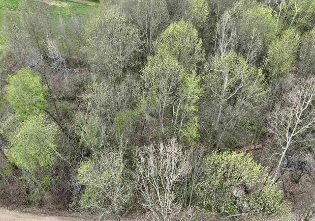 Photo 4 of Land for sale at State Rd 164, Jasper, IN 47546 | MLS# 202611332 | Listing updated on 2026-08-20