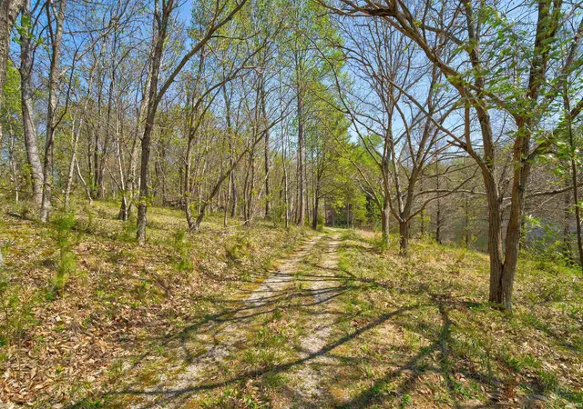 36th image of 10227 Lorainne Rd, Leopold, IN 47551 | MLS# 202611690