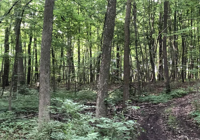 4th image of 9567 N River Road Road, New Haven, IN 46774 | MLS# 202611711