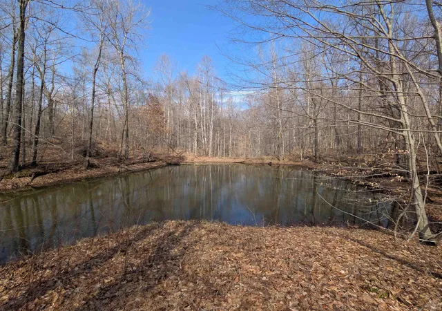 23rd image of 9010 N Texas Ridge Rd, Gosport, IN 47433 | MLS# 202612383
