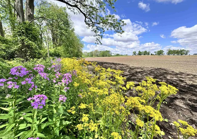 Photo 3 of Land for sale at 4681 N 350 West, Thorntown, IN 46071 | MLS# 202613176 | Listing updated on 2026-07-21
