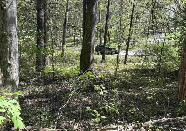 2nd image of 358 W Evergreen N Plz, Santa Claus, IN 47579 | MLS# 202613462