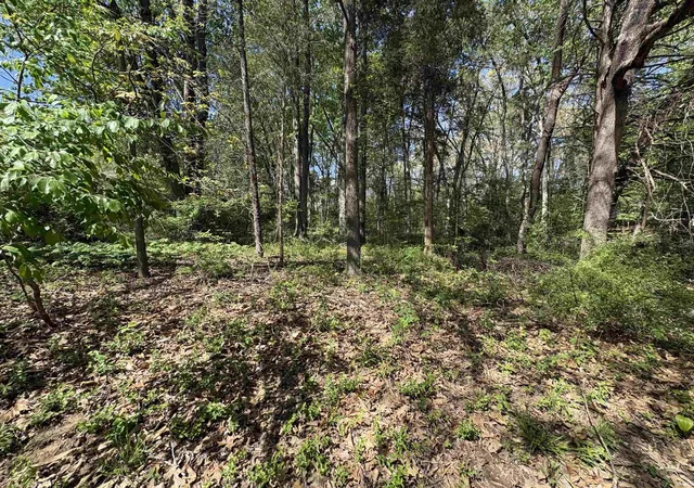 7th image of 358 W Evergreen N Plz, Santa Claus, IN 47579 | MLS# 202613462