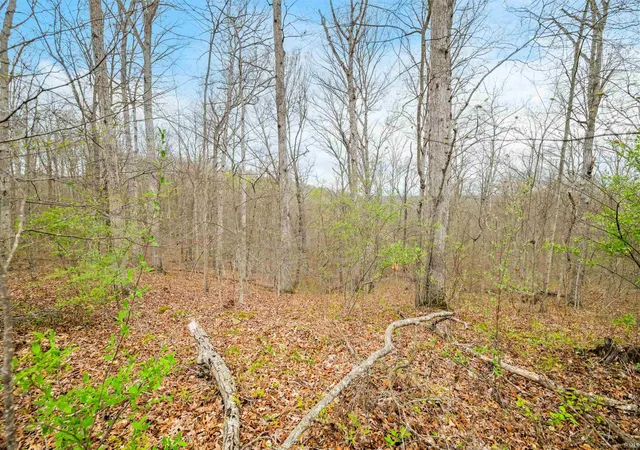 1st image of Lower Schooner Rd, Nashville, IN 47448 | MLS# 202613549