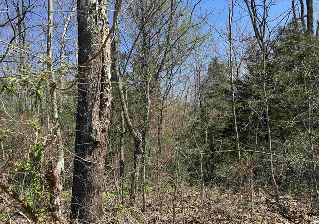 3rd image of Lot B-21 Hwy 46, Spencer, IN 47460 | MLS# 202613664