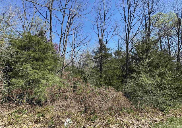 4th image of Lot B-21 Hwy 46, Spencer, IN 47460 | MLS# 202613664