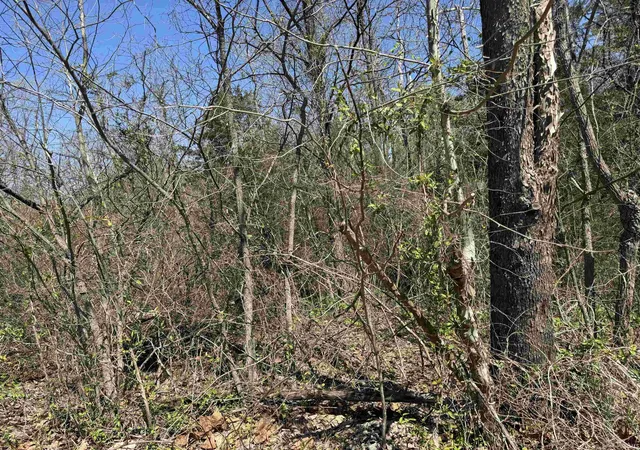 5th image of Lot B-21 Hwy 46, Spencer, IN 47460 | MLS# 202613664