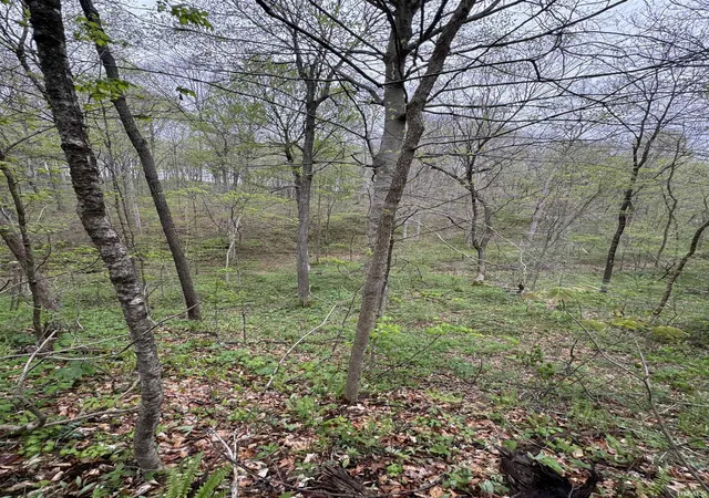4th image of 0 E Pine Road Comn, Bloomfield, IN 47424 | MLS# 202614910