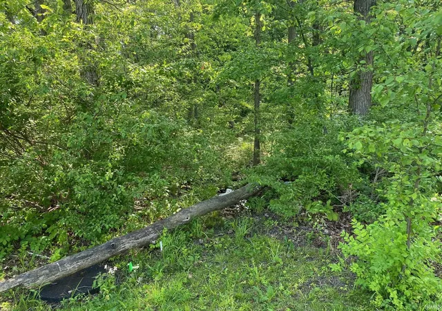 Photo 3 of Land for sale at 3000 N Blk Benton Rd, Muncie, IN 47304 | MLS# 202618856 | Listing updated on 2026-05-19