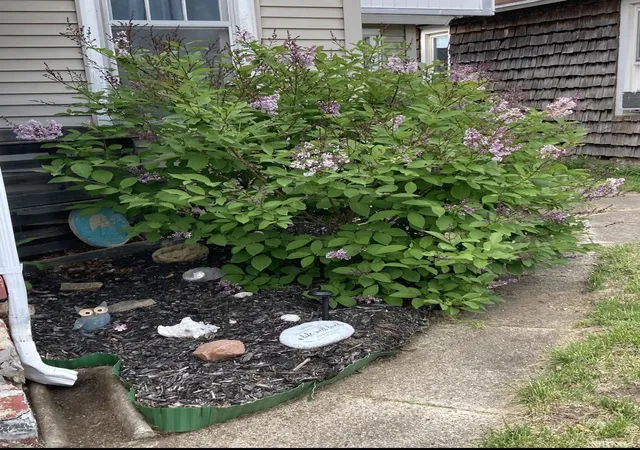 3rd image of 714 State St, Logansport, IN 46947 | MLS# 202620961