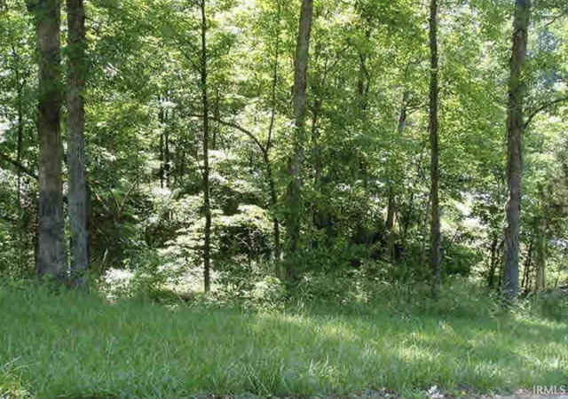 3rd image of 0 Chimes Dr, Santa Claus, IN 47579 | MLS# 202621227