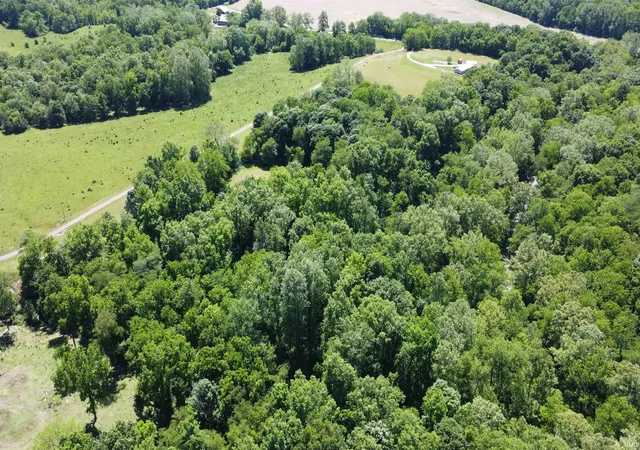 4th image of 0 Laurel Road Road, Laurel, IN 47024 | MLS# 202621344