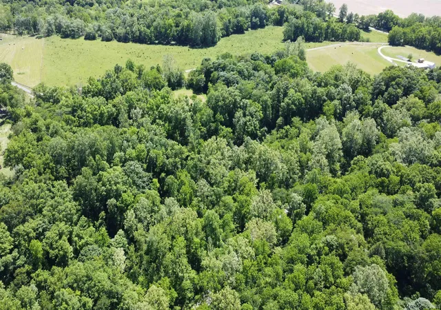 5th image of 0 Laurel Road Road, Laurel, IN 47024 | MLS# 202621344