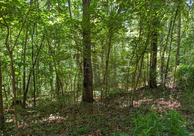 1st image of Lot 16 Bell Hollow Rd, Cannelton, IN 47520 | MLS# 202621527