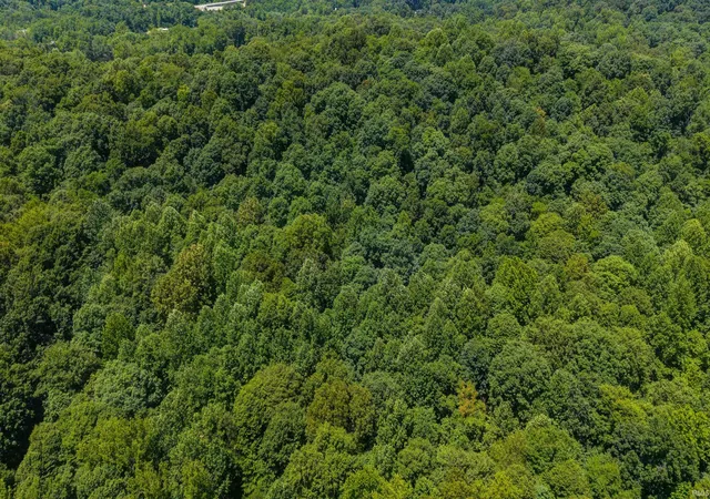 1st image of Lot 14 Bell Hollow Rd, Cannelton, IN 47520 | MLS# 202621529