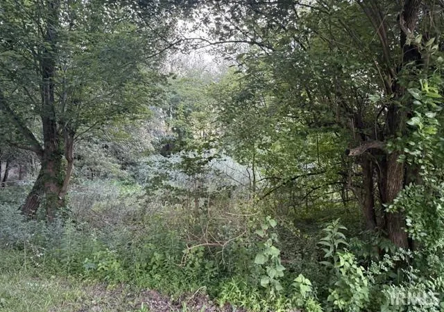 Photo 3 of Land for sale at 1577 Pelzer Rd, Boonville, IN 47601 | MLS# 202622050 | Listing updated on 2026-08-02