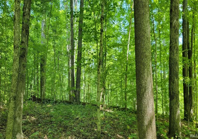Photo 4 of Sale Pending at 2699 Straight Line Rd, Freedom, IN 47431 | MLS# 202622516 | Listing updated on 2026-09-11