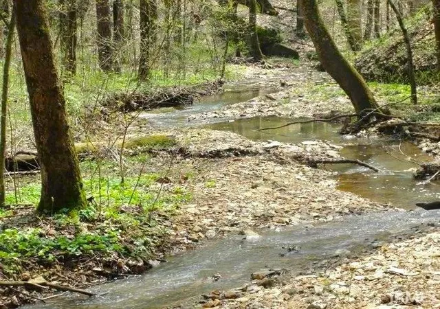 3rd image of 7845 S Old State Rd 37, Bloomington, IN 47403 | MLS# 202622880