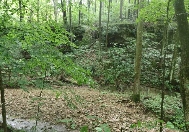 45th image of 7845 S Old State Rd 37, Bloomington, IN 47403 | MLS# 202622880