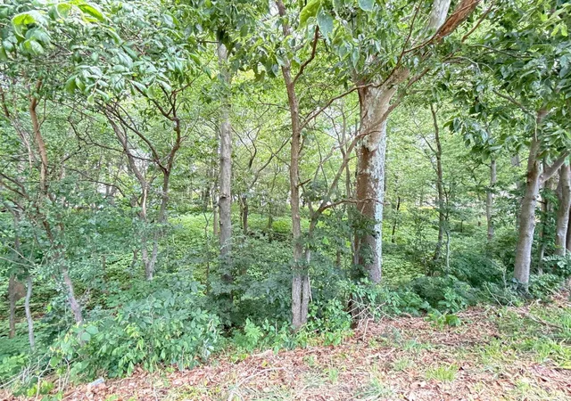 1st image of W 1200 South, Covington, IN 47932 | MLS# 202623090